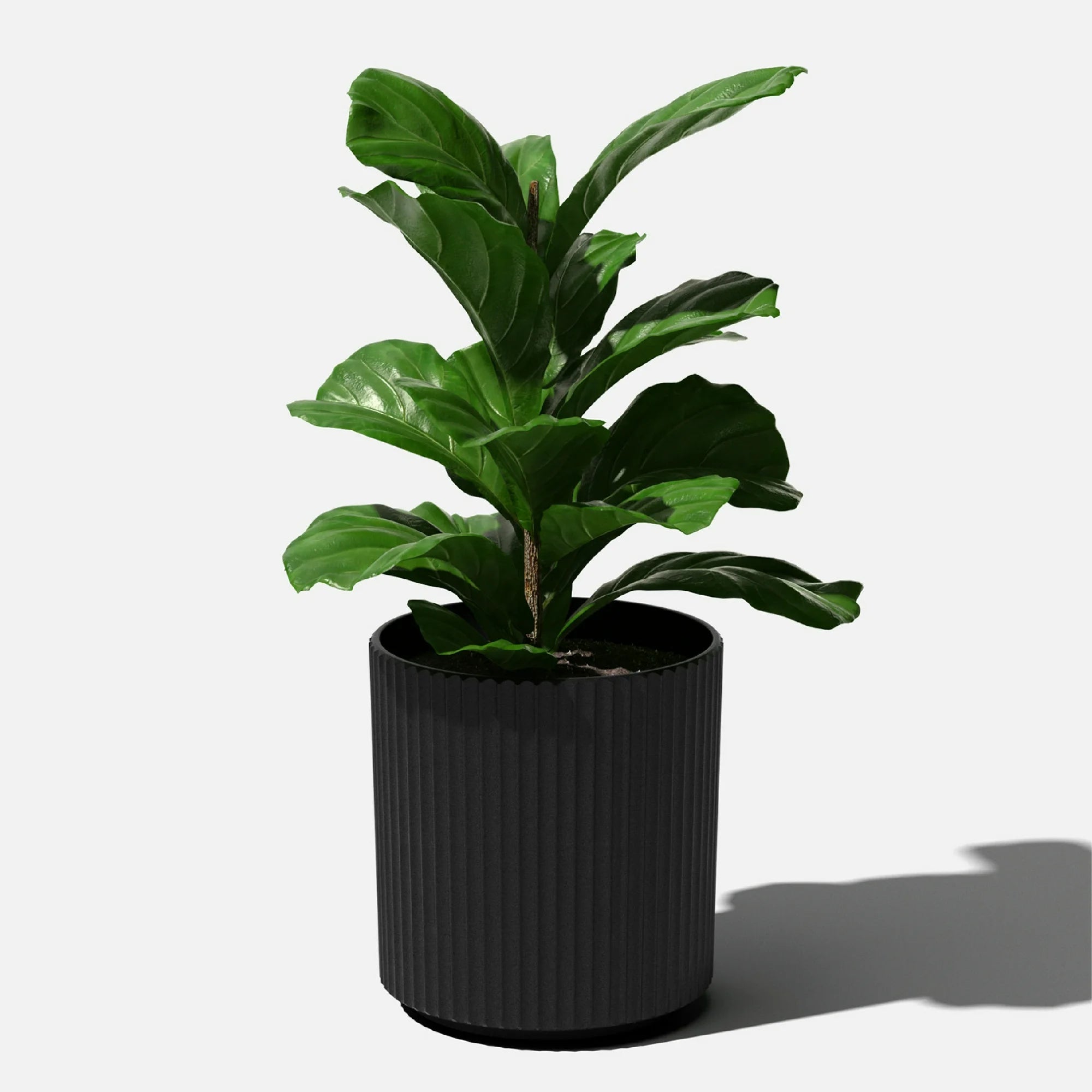 Veradek Ripple 16' Planter Black